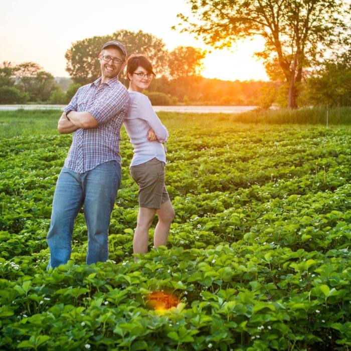 The Berry Basket Farm
