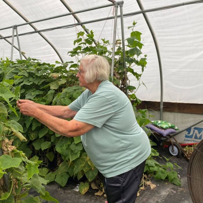 Wasson Produce