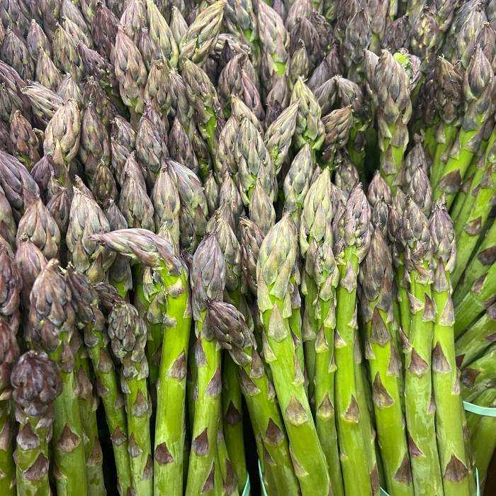 asparagus-square