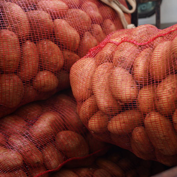 potatoes-square