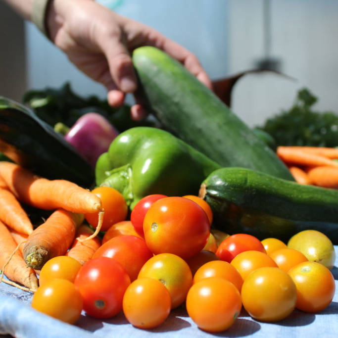 veg-square